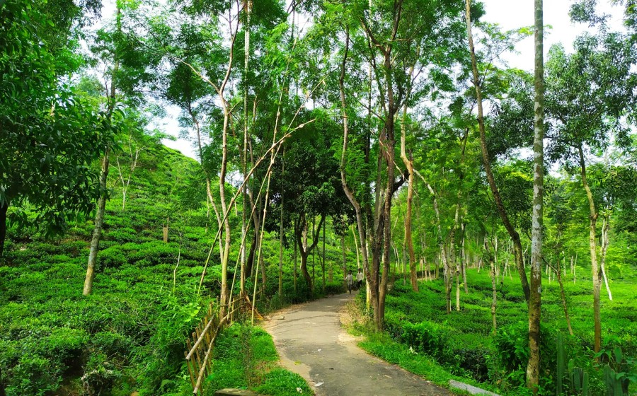 Study in UK: January 2026 Intake — Sylhet Counselling Day